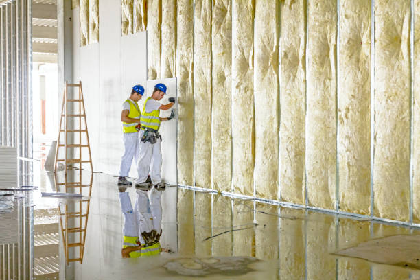 Best Residential Insulation in Surfside, FL